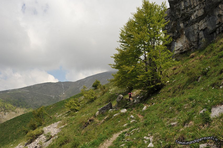 063 Periplo del Grem.JPG